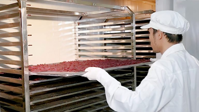 dịch vụ sấy lạnh