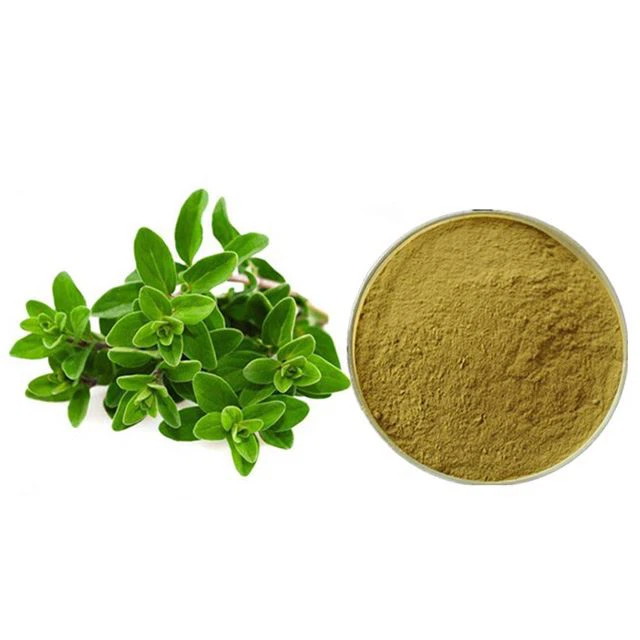 Gia công bột lá Oregano