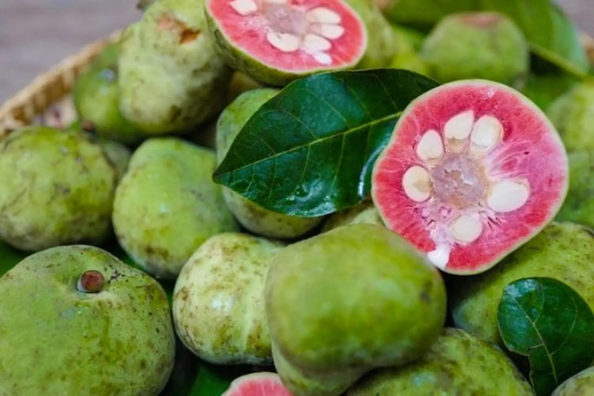 Dịch vụ sấy chay
