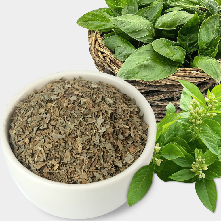 Dịch vụ sấy lá húng quế