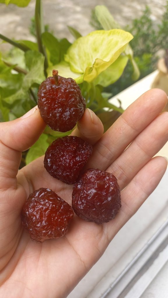 Dịch vụ sấy mận