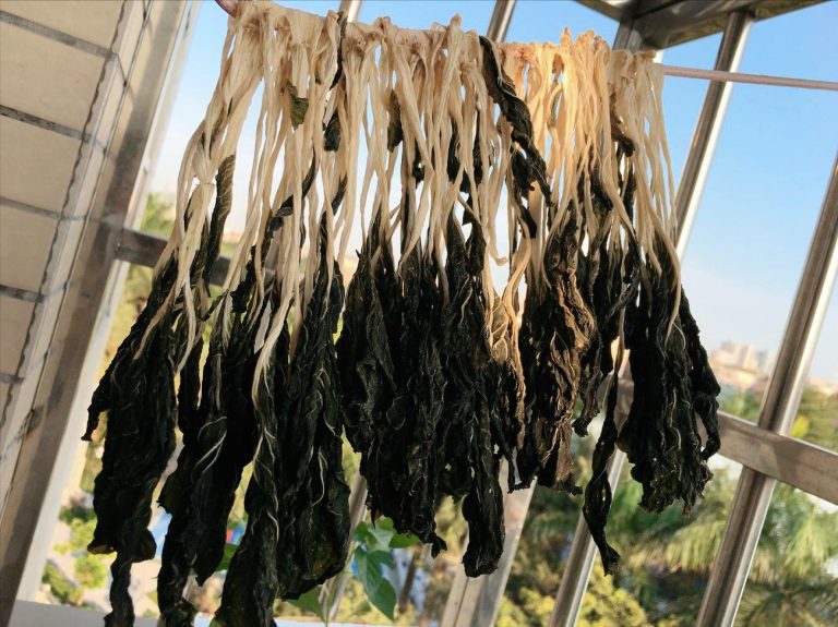 Dịch vụ sấy rau cải (Kale, bó xôi, cải xanh)
