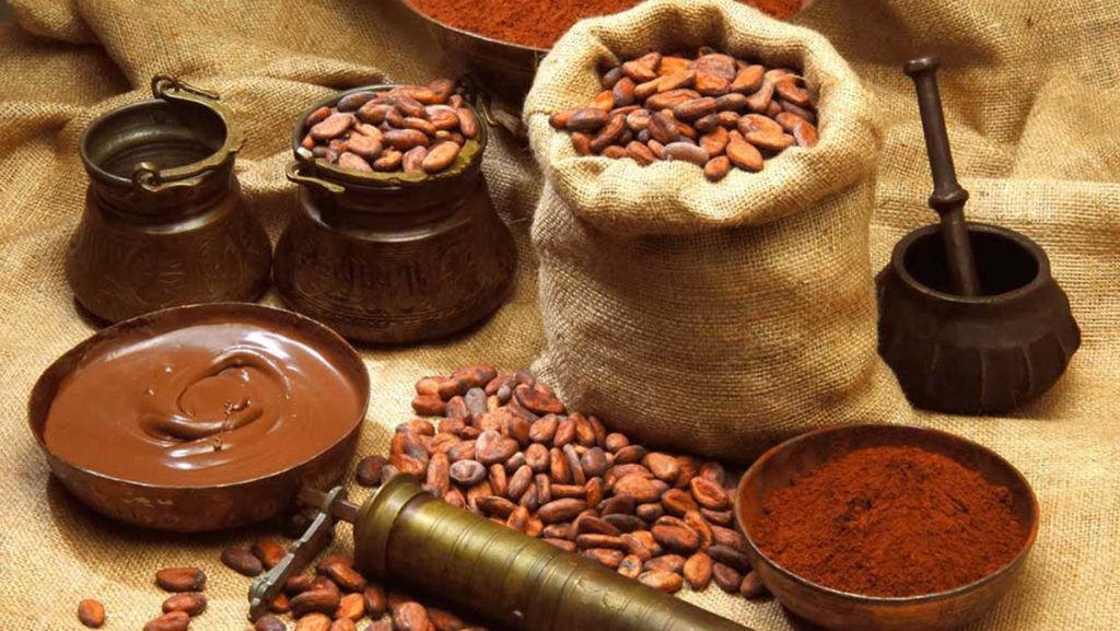 Gia công bột cacao