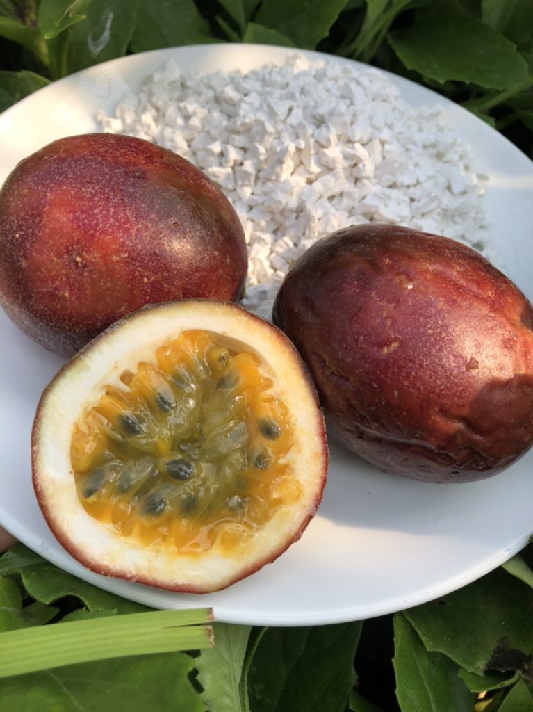 Gia công bột chanh leo