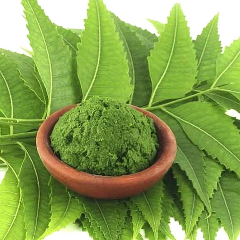 Bột lá neem