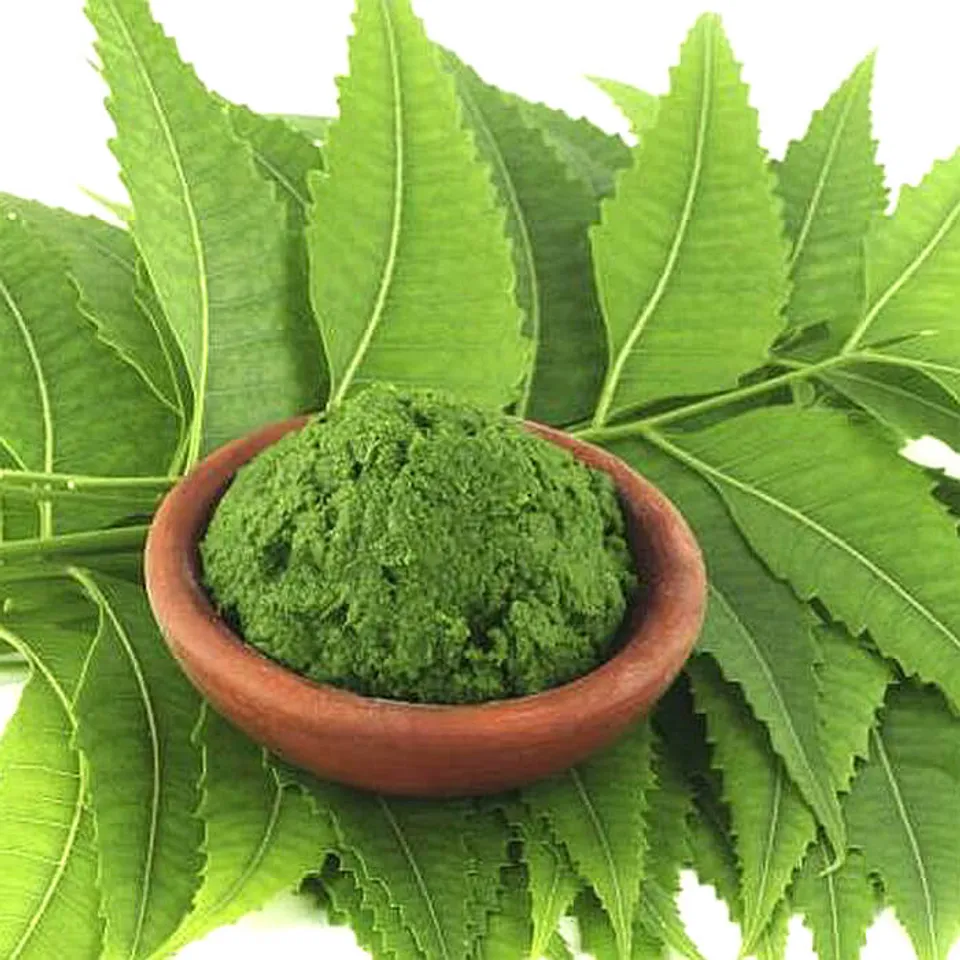 Gia công bột lá Neem