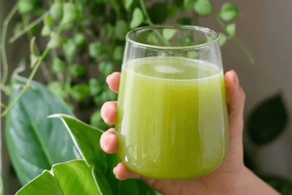 Gia công nước ép cóc