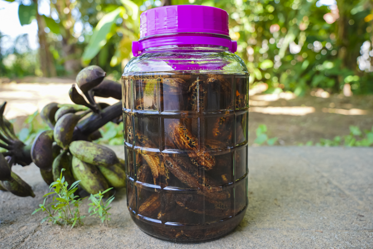 Rượu chuối hột