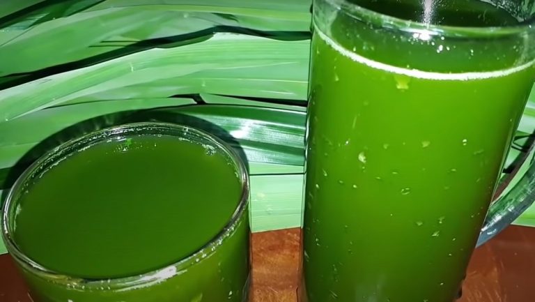 Gia công trà lá dứa