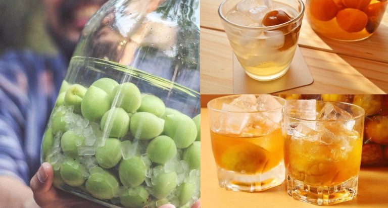 Gia công Cocktail rượu mơ