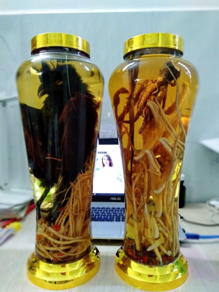 Gia công rượu bìm bịp