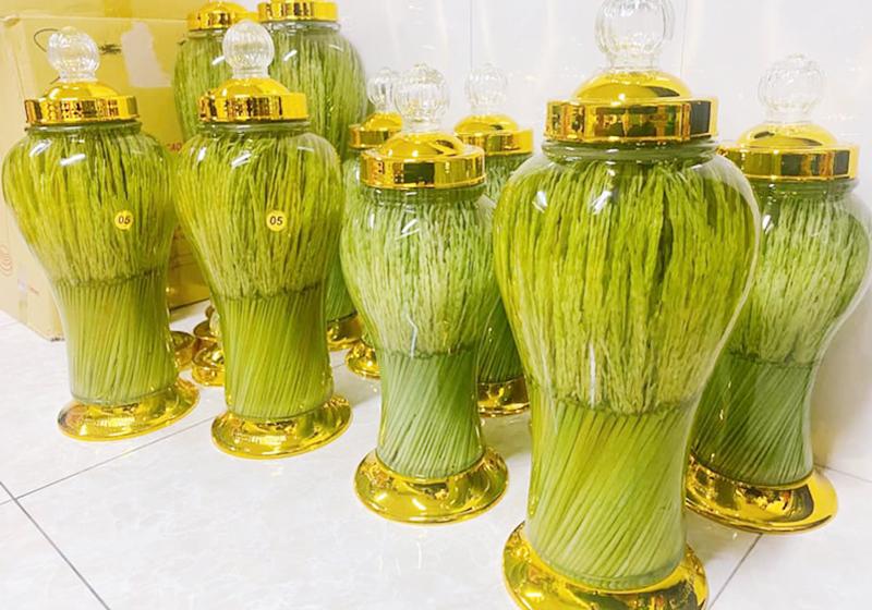 Gia công rượu đòng đòng pha mật ong 1 Gia công rượu đòng đòng pha mật ong