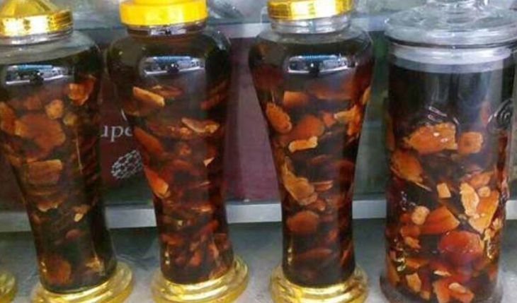 Gia công rượu mật nhân