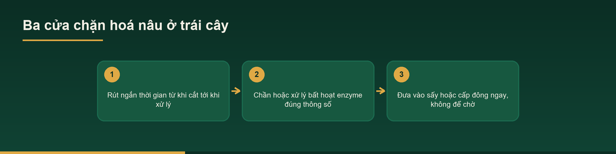 Sơ đồ ba cửa chặn hiện tượng hoá nâu khi sơ chế trái cây