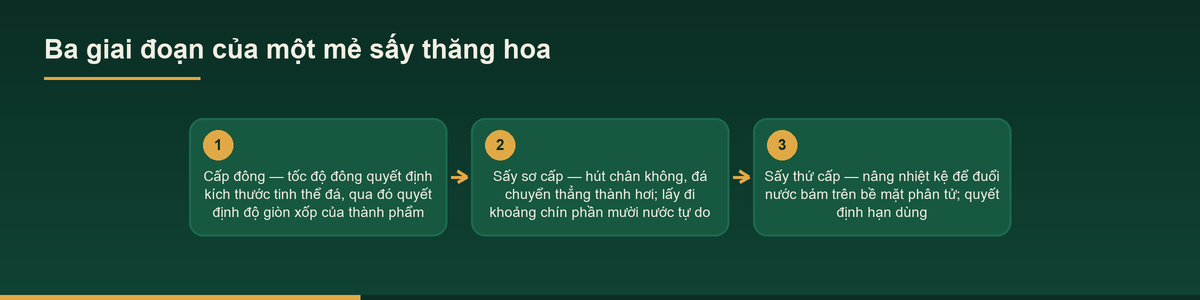 Gia công sấy thăng hoa – Dịch vụ sấy thăng hoa tính theo mẻ 1 Sơ đồ ba giai đoạn của một mẻ sấy thăng hoa: cấp đông, sấy sơ cấp, sấy thứ cấp