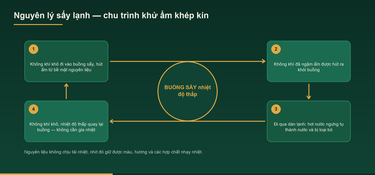 Sơ đồ bổ sung minh hoạ cho bài sấy lạnh là gì