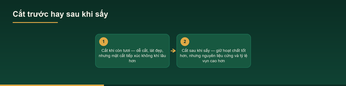 Gia công dược liệu cắt đoạn – Dịch vụ cắt theo quy cách 2 Sơ đồ chọn cắt trước hay sau khi sấy trong gia công dược liệu cắt đoạn