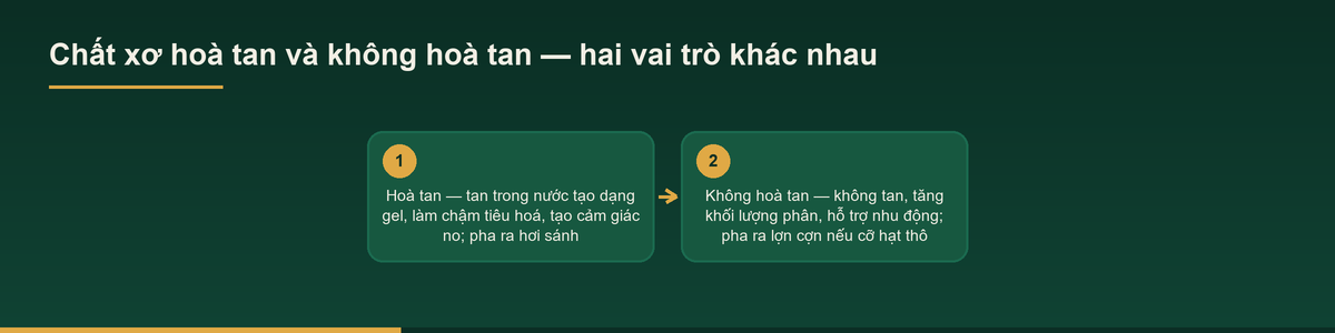 Sơ đồ hai loại chất xơ và vai trò khác nhau khi gia công bột chất xơ