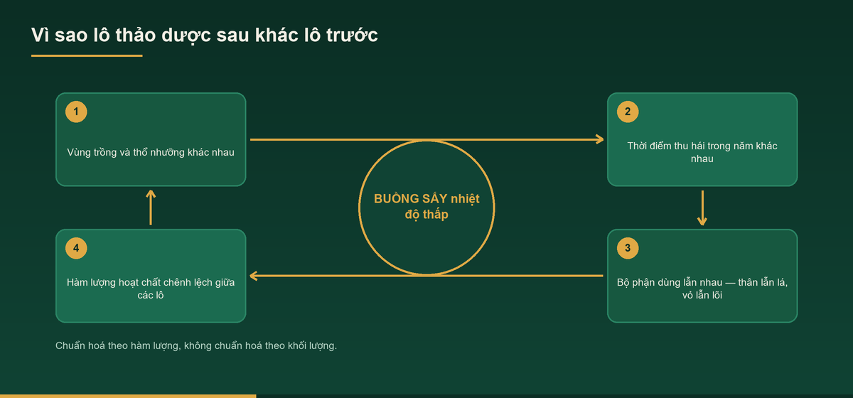 Sơ đồ vì sao các lô lệch nhau khi gia công bột thảo dược