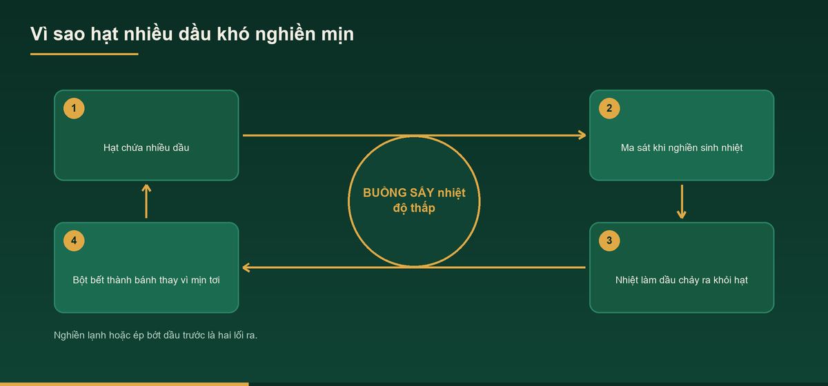 Sơ đồ vì sao hạt nhiều dầu khó nghiền mịn khi gia công bột hạt