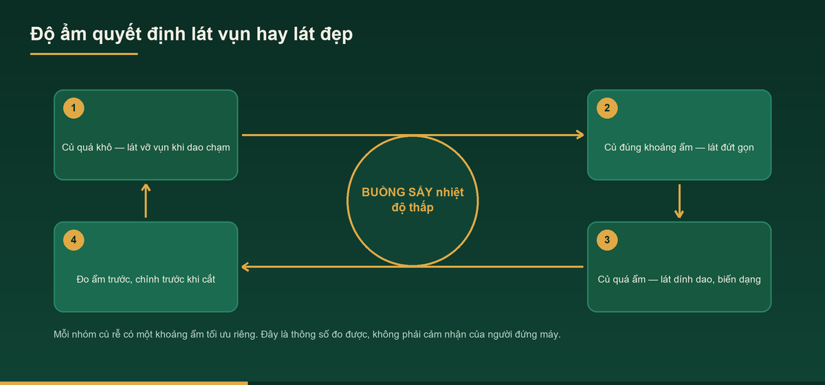 Sơ đồ ảnh hưởng của độ ẩm tới chất lượng lát cắt củ rễ dược liệu