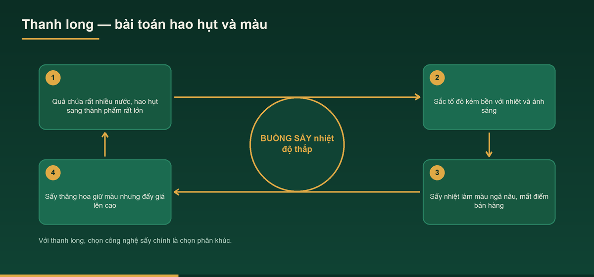 Gia công thanh long – Dịch vụ OEM thanh long sấy 1 Sơ đồ bài toán hao hụt và màu khi gia công thanh long