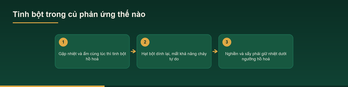 Sơ đồ hiện tượng hồ hoá tinh bột khi gia công bột củ