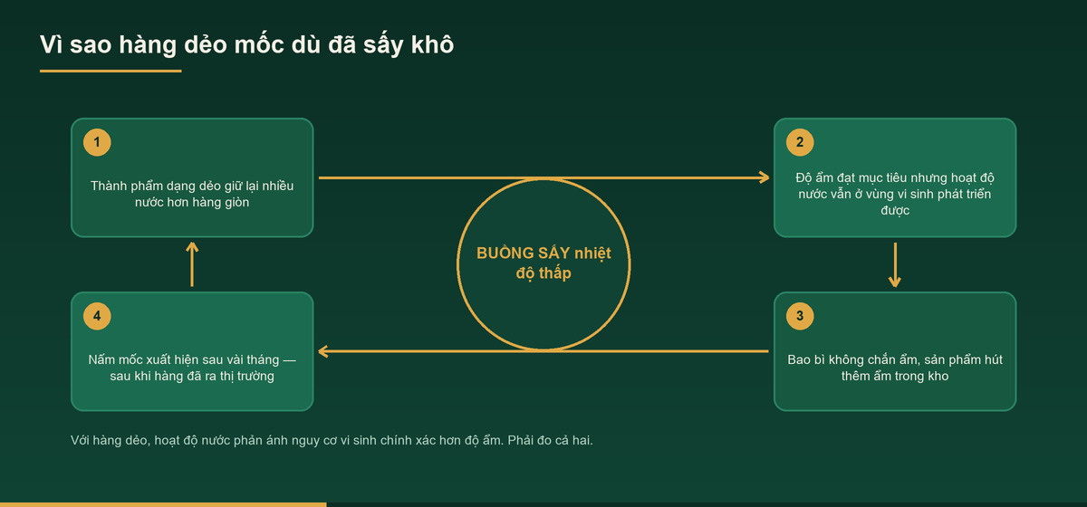 Gia công sấy lạnh – Dịch vụ sấy lạnh cho hàng dẻo giữ màu 1 Sơ đồ vì sao hàng sấy lạnh dạng dẻo bị mốc dù đã đạt độ ẩm mục tiêu