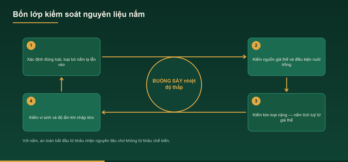 Gia công nấm nguyên liệu – Dịch vụ cung cấp theo bộ chỉ tiêu 1 Sơ đồ bốn lớp kiểm soát khi gia công nấm nguyên liệu