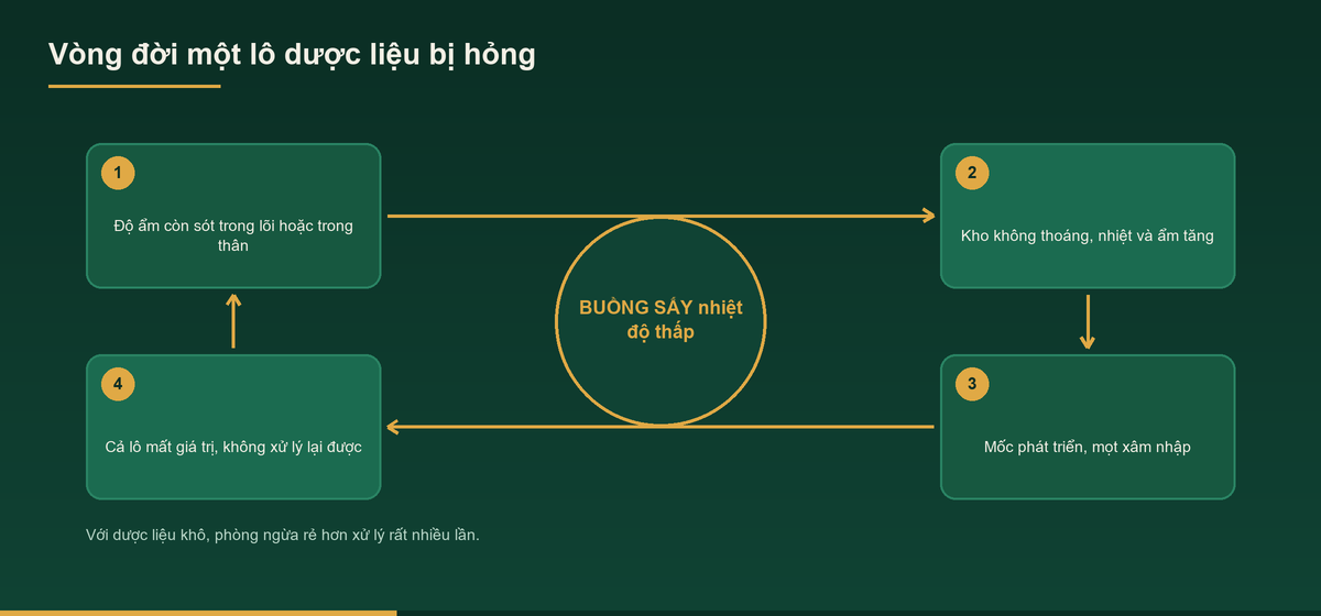 Sơ đồ vòng đời một lô hỏng khi gia công dược liệu nguyên cây