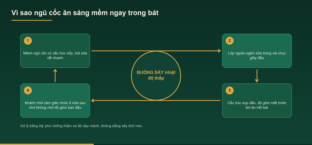 Sơ đồ vì sao ngũ cốc ăn sáng mất độ giòn trong bát sữa