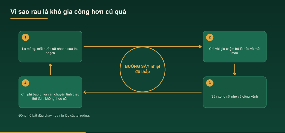 Sơ đồ vì sao rau lá khó xử lý hơn củ quả khi gia công rau