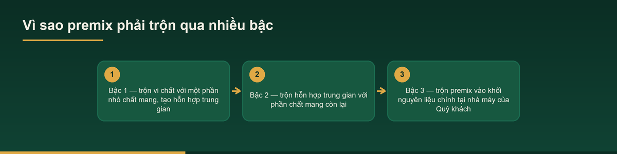 Sơ đồ pha loãng nhiều bậc trước khi đóng vào viên nang