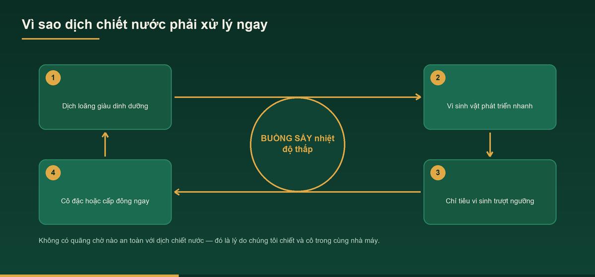Chiết xuất bằng nước – Dịch vụ chiết xuất không dùng dung môi hữu cơ 1 Sơ đồ vòng rủi ro khiến dịch chiết nước phải cô đặc ngay trong ca
